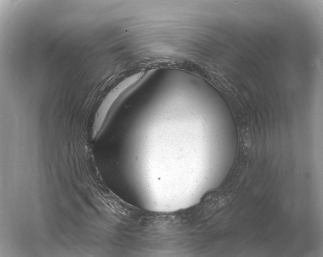 X0000060810916200512011755