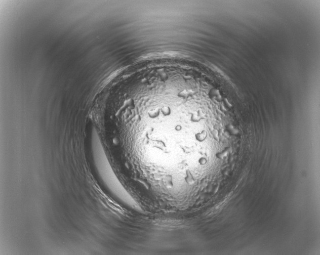 X0000060810921200512011756