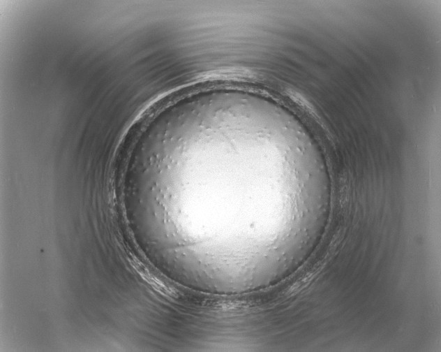 X0000060810923200512011756
