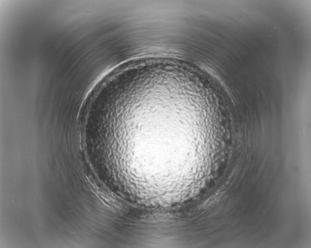 X0000060810925200512011756