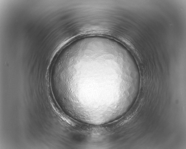 X0000060810933200512011756