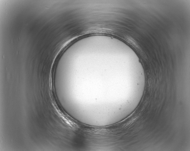 X0000060810940200512011756