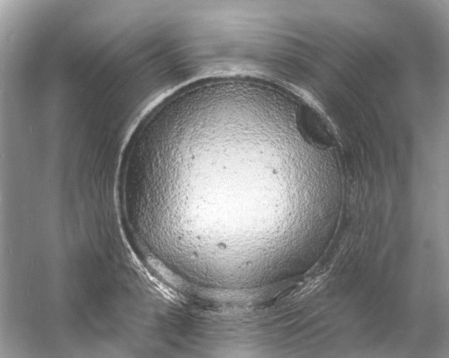 X0000060810943200512011756