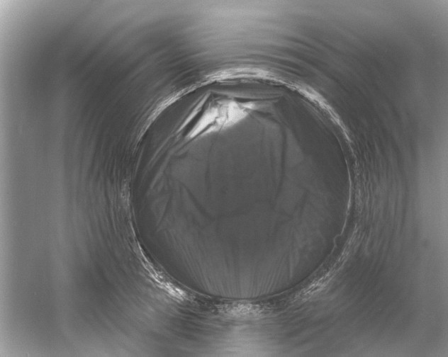 X0000060810945200512011756