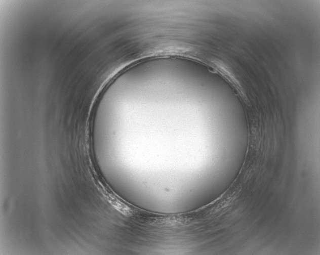 X0000060810948200512011756