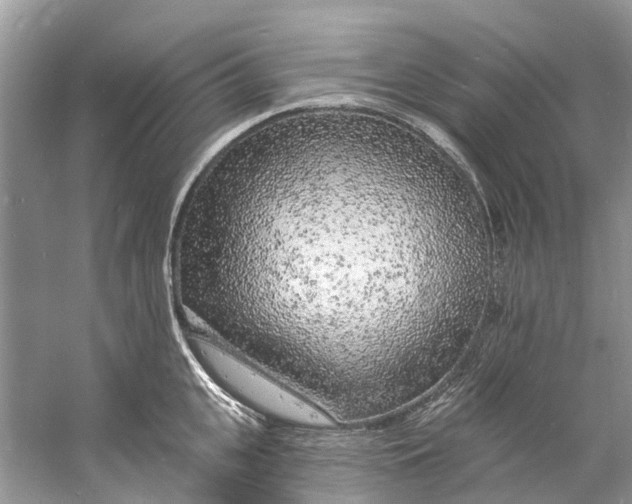 X0000060810951200512011756