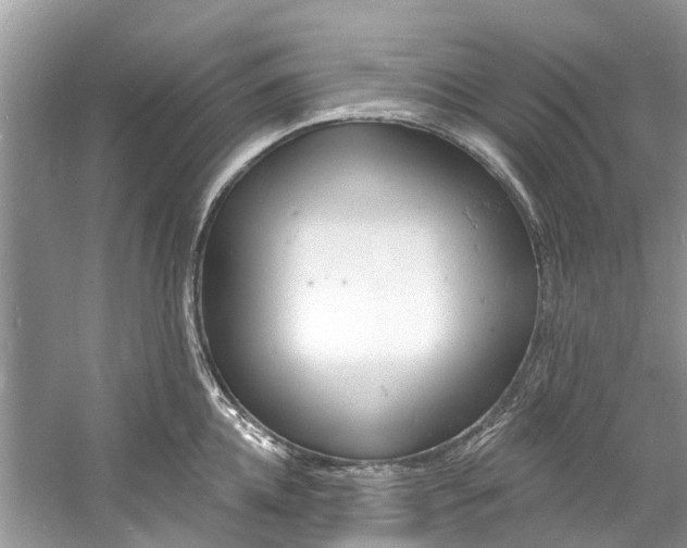 X0000060810952200512011756