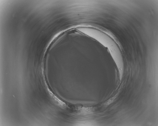 X0000060810958200512011756