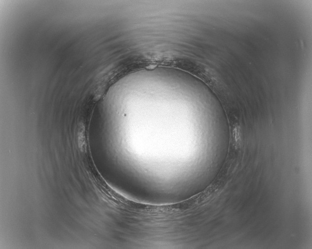 X0000060810963200512011755