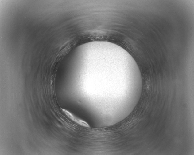 X0000060810964200512011755
