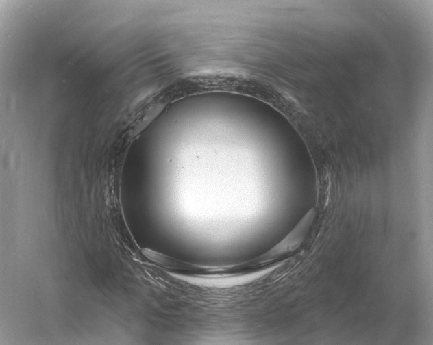 X0000060810965200512011755