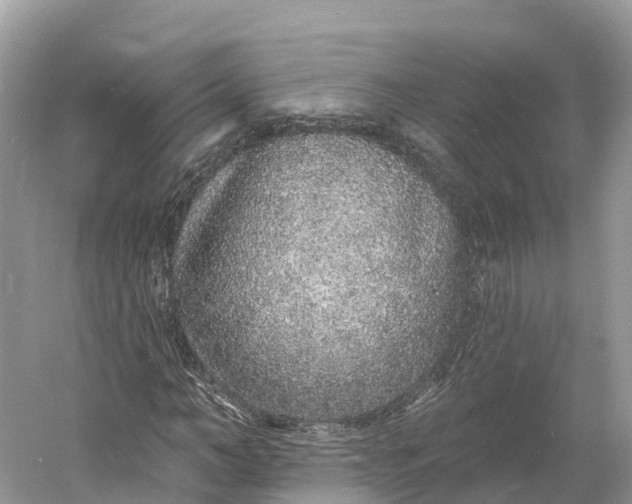 X0000060810966200512011755