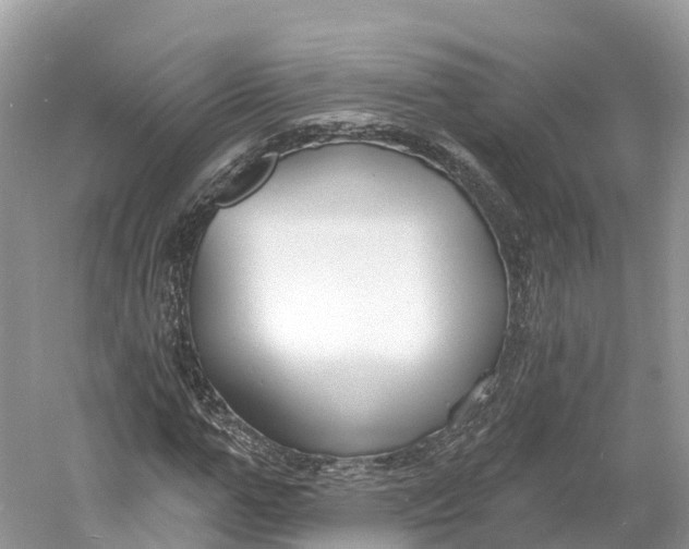 X0000060810967200512011755