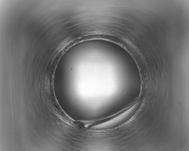 X0000060810969200512011755