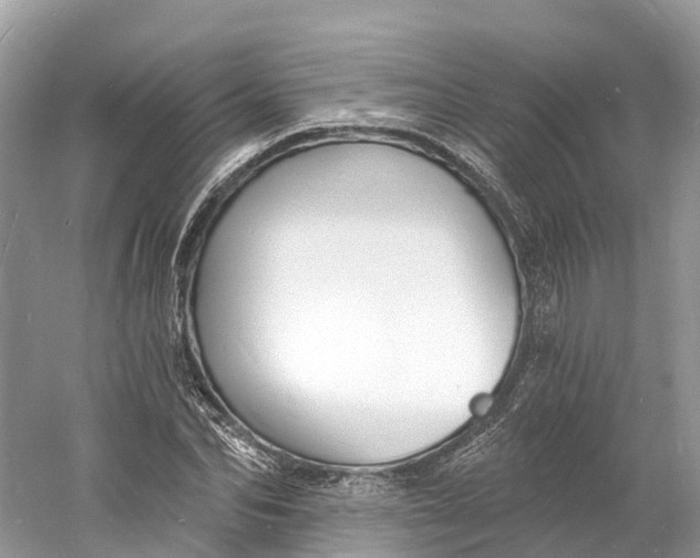 X0000060810974200512011755