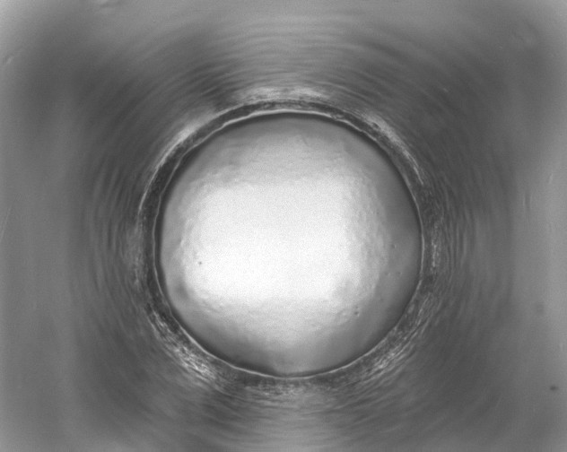 X0000060810975200512011755