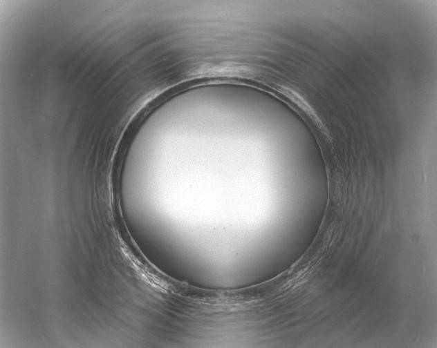 X0000060810980200512011755