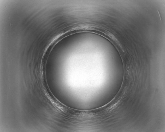 X0000060810981200512011755