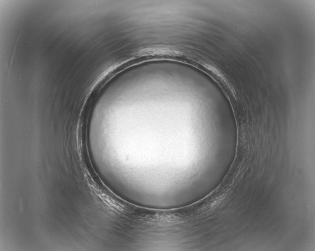 X0000060810983200512011755