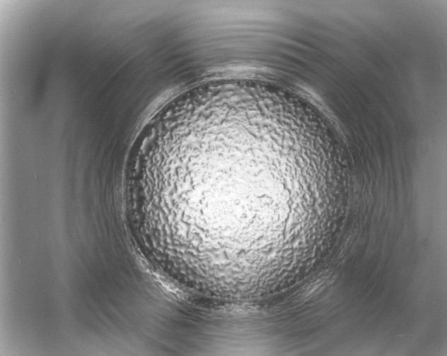 X0000060810994200512011755