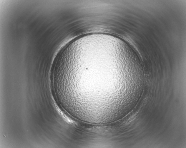 X0000060810995200512011755