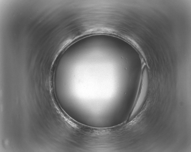 X0000060810997200512011755