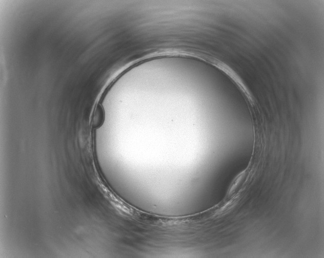 X0000060811004200512011755