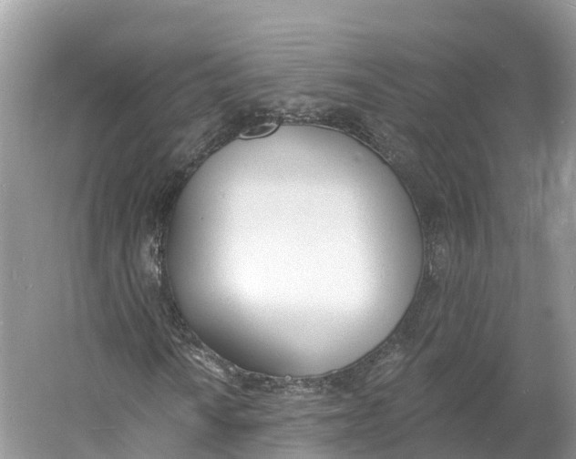 X0000060811010200512011754