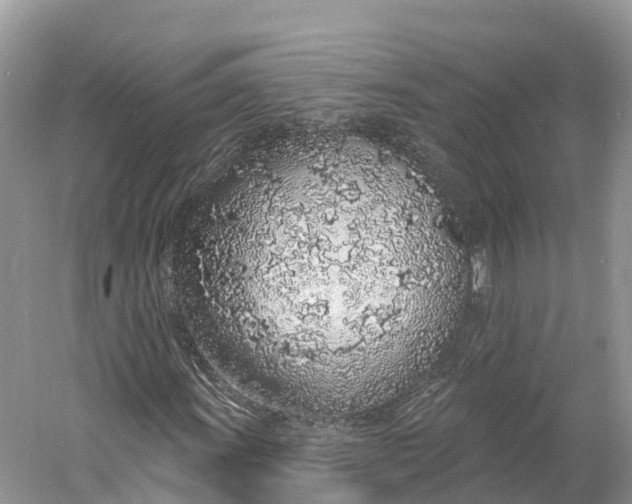 X0000060811011200512011754