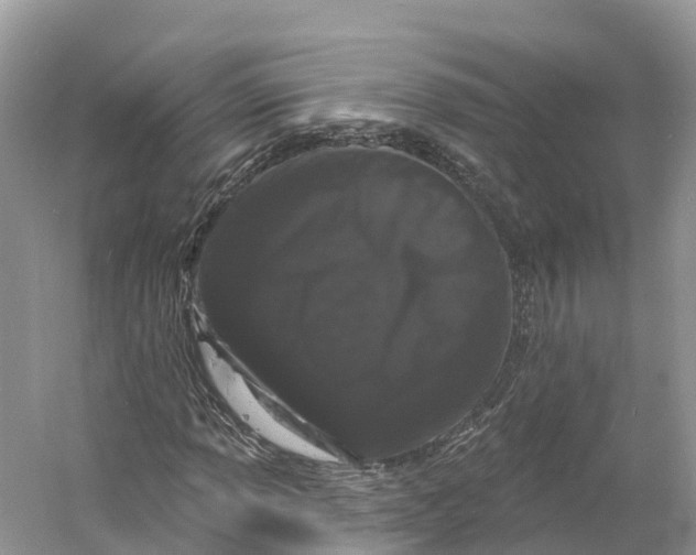 X0000060811013200512011754