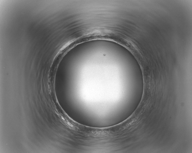 X0000060811018200512011754