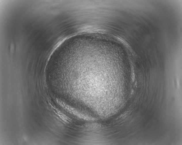 X0000060811023200512011754
