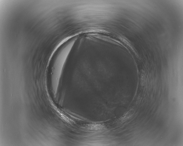 X0000060811024200512011754