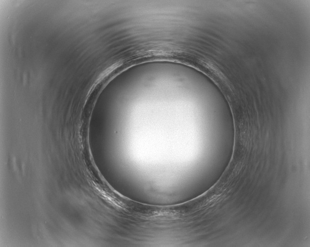 X0000060811026200512011754
