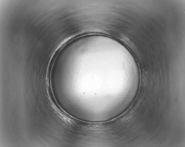 X0000060811028200512011754