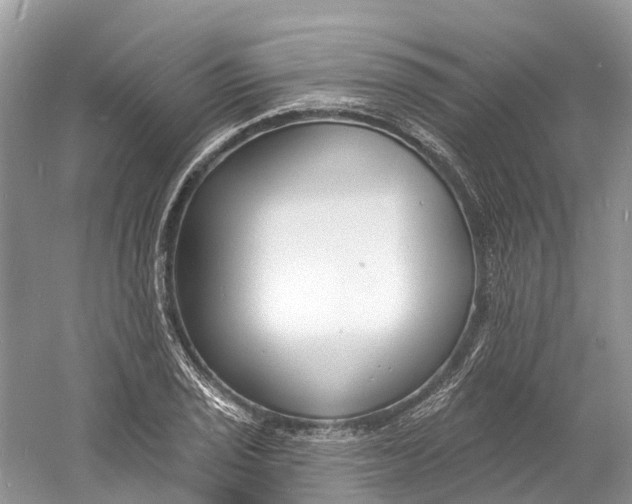 X0000060811029200512011754