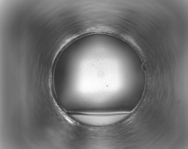 X0000060811040200512011754