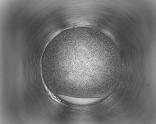 X0000060811047200512011754