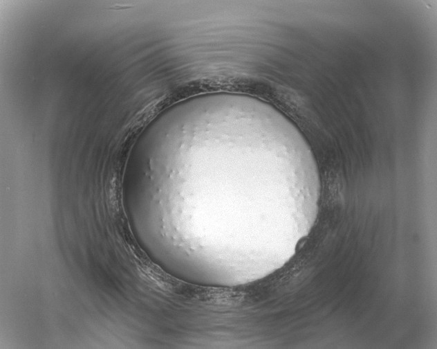 X0000060811060200512011754