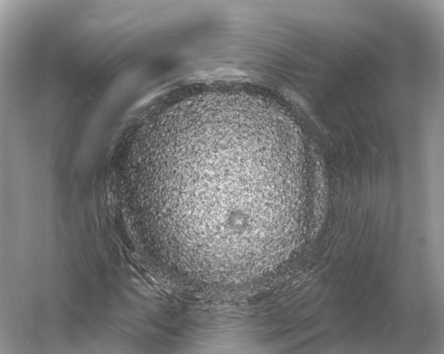 X0000060811063200512011754