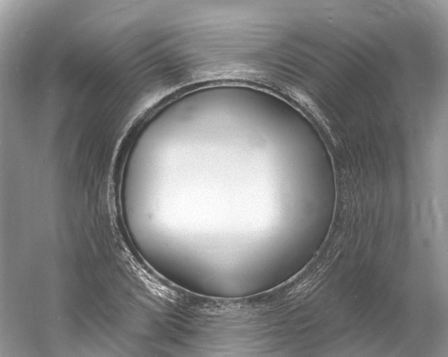 X0000060811072200512011754