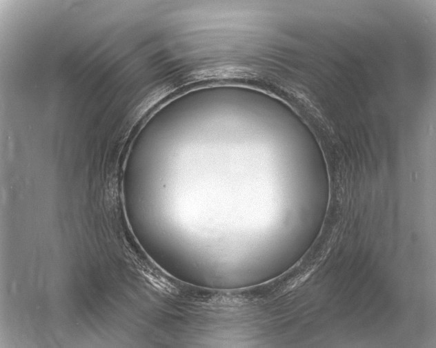 X0000060811073200512011753