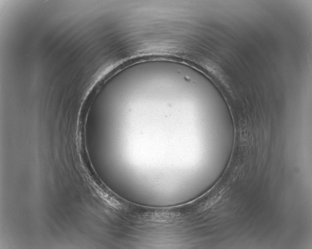 X0000060811077200512011753