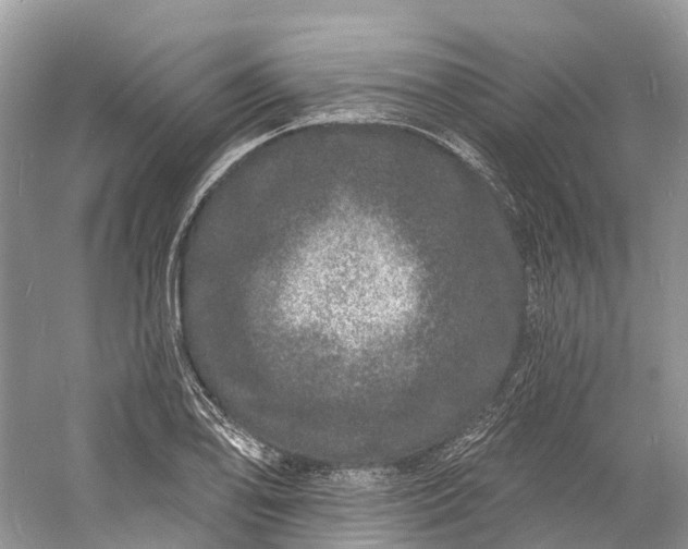 X0000060811078200512011753