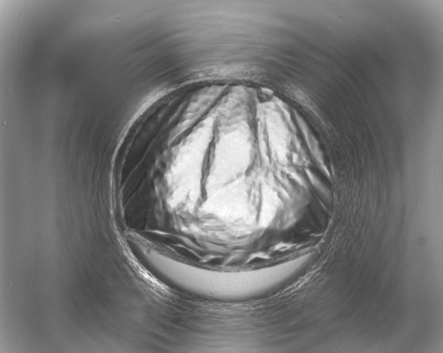 X0000060811079200512011753
