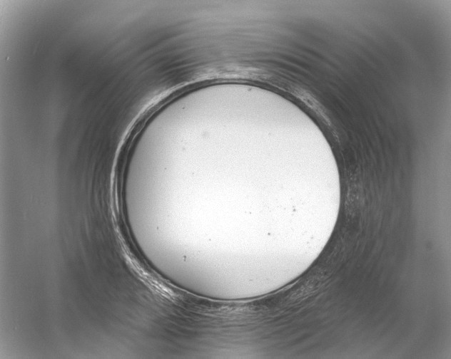 X0000060811080200512011753