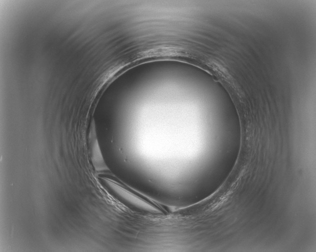 X0000060811081200512011753