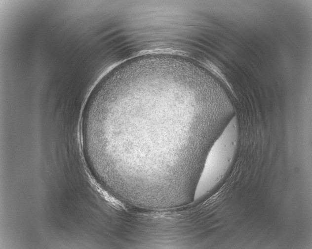 X0000060811084200512011753