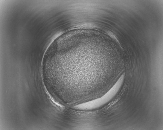 X0000060811087200512011753