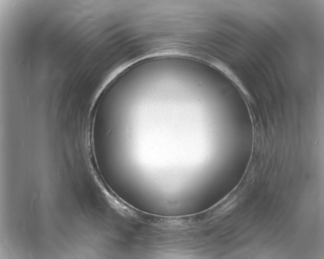 X0000060811101200512011753